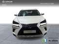Lexus NX 300 300h Business 2WD Blanc - thumbnail 2