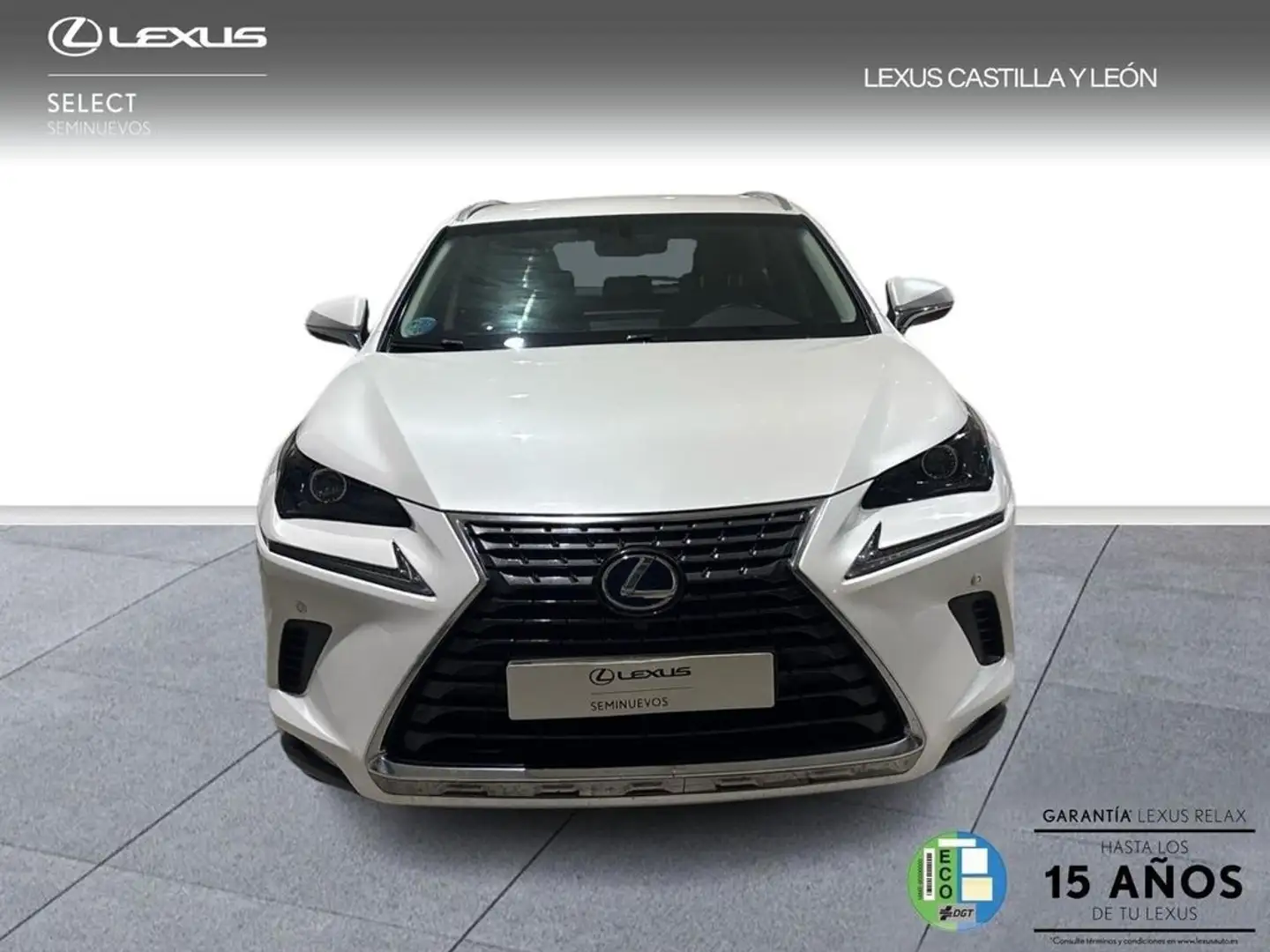 Lexus NX 300 300h Business 2WD Blanc - 2