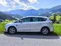 Ford S-Max 2.0 EcoBlue Aut. TITANIUM Grau - thumbnail 3