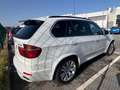 BMW X5 xDrive 30dA Blanco - thumbnail 33