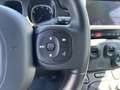 Fiat Panda 1.0 FireFly S&S Hybrid Blu/Azzurro - thumbnail 13