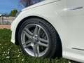 Mercedes-Benz C 250 Estate 250CDI BE Elegance Aut. Blanco - thumbnail 6