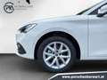 SEAT Leon Style Edition 1.5 TSI 115 PS Weiß - thumbnail 7