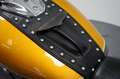 Yamaha XVS 650 DRAGSTAR CLASSIC Goud - thumbnail 20