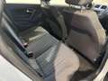 Volkswagen Polo 1.4 TDI 5p. Comfortline BlueMotion Technology Grigio - thumbnail 13