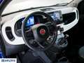 Fiat Panda 1.0 FireFly S&S Hybrid Pandina - thumbnail 12
