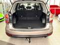 Subaru Forester 2.0 Exclusive Xenon Shz Klima Pano 4x4 Brown - thumbnail 10