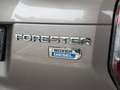 Subaru Forester 2.0 Exclusive Xenon Shz Klima Pano 4x4 Brown - thumbnail 11
