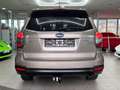Subaru Forester 2.0 Exclusive Xenon Shz Klima Pano 4x4 Brown - thumbnail 9