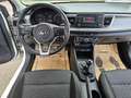 Kia Rio 1,25 MPI Titan ISG *AHK, Sitz- & Lenkradheizung* Weiß - thumbnail 11