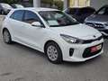 Kia Rio 1,25 MPI Titan ISG *AHK, Sitz- & Lenkradheizung* Weiß - thumbnail 4