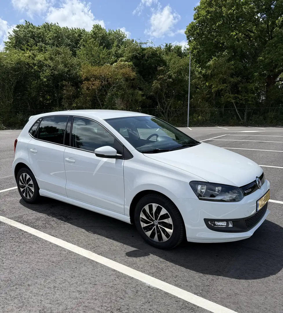 Volkswagen Polo 1.0 TSI Blue Motion 2016 - 1