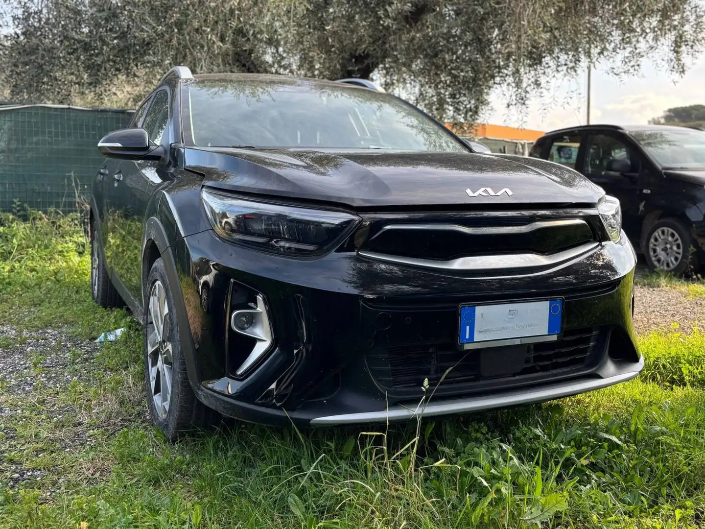 Kia Stonic 1.0 T-GDi 100 CV MHEV MT Style Білий - 1