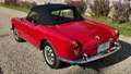 Alfa Romeo Giulia spider 1600 Rot - thumbnail 9