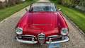 Alfa Romeo Giulia spider 1600 Rot - thumbnail 35