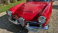 Alfa Romeo Giulia spider 1600 Rot - thumbnail 32