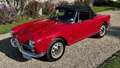 Alfa Romeo Giulia spider 1600 Rot - thumbnail 7