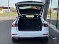 Audi Q8 TDI quattro SLINE*HUP*SOFT*STHG*LASER*AHK*PAN Weiß - thumbnail 6