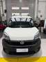 Fiat DOBLO Blanc - thumbnail 2