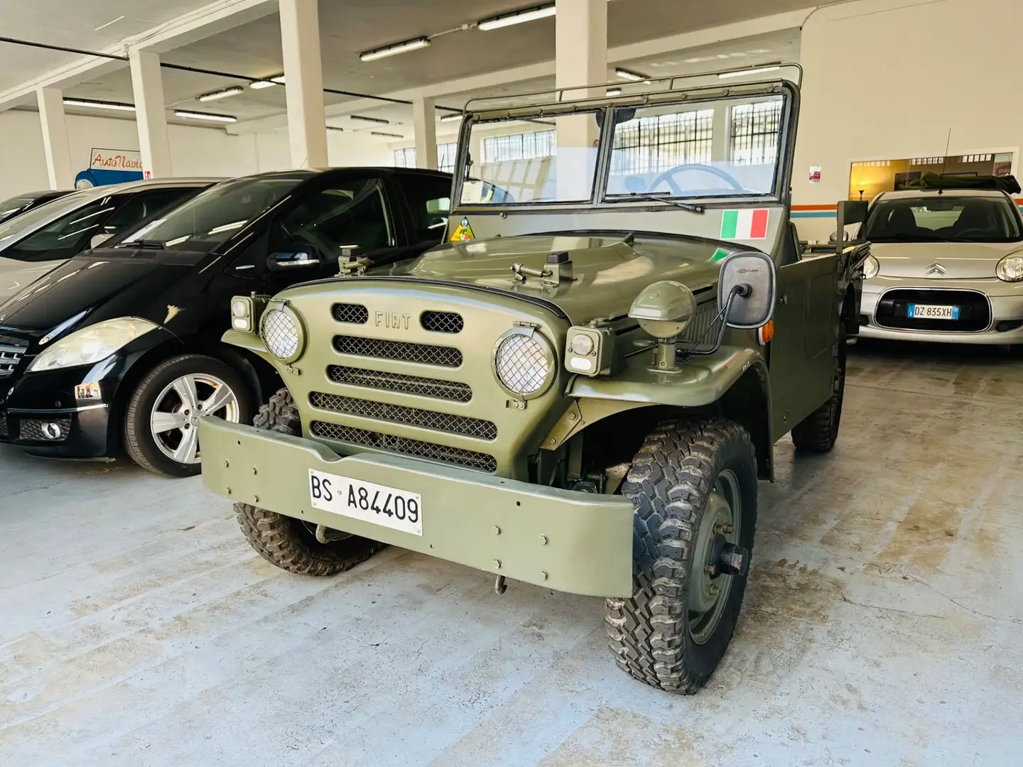 Fiat Campagnola AR 51-59 immatricolata Esercito Italiano 1951 - Is Zielony - 1