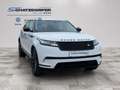 Land Rover Range Rover Velar P400e PHEV Allrad Aut. Weiß - thumbnail 6