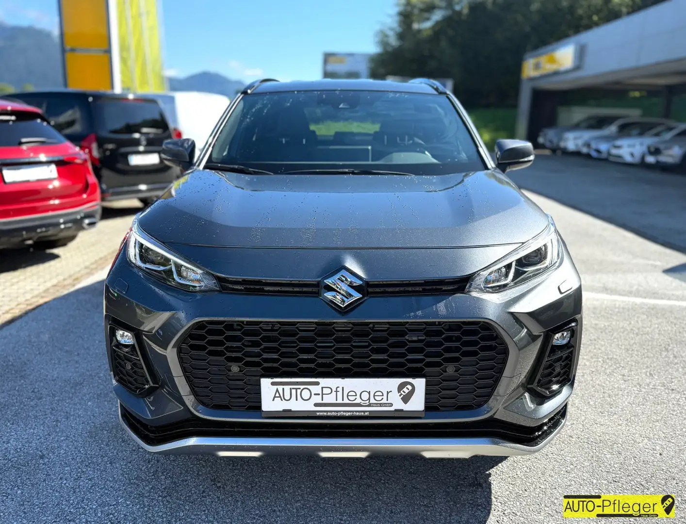 Suzuki Across 2.5 PHEV E-Four flash Grau - 2