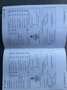 Volkswagen Crafter 35 Kombi 3-3-3 MR TDI - thumbnail 15