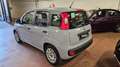Fiat Panda Panda III 1.2 Easy 69cv+5' posto/ruota di scorta Gris - thumbnail 7