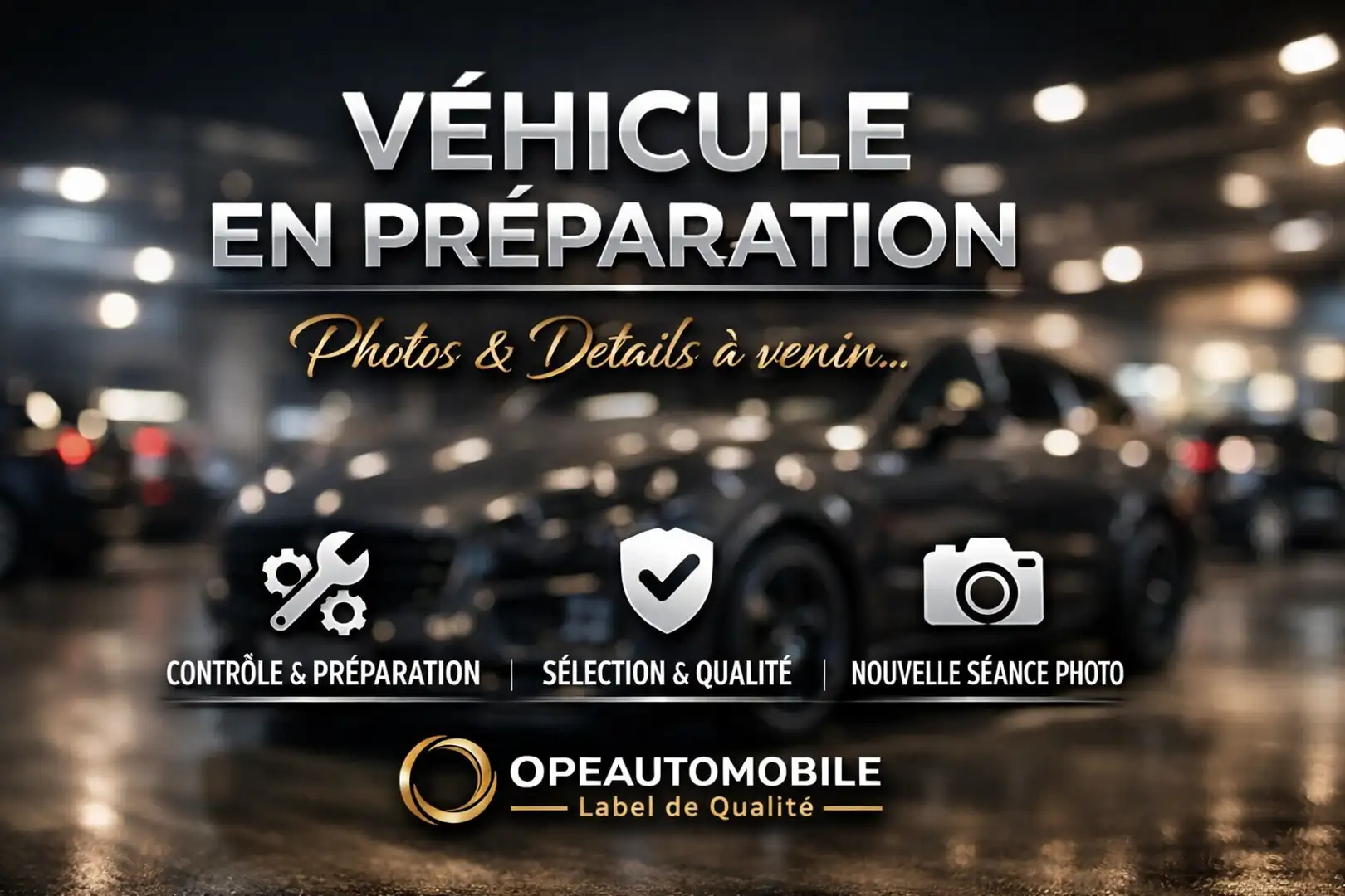 Land Rover Discovery Sport New MHEV 4WD P200 History RR Garantie 23132 + Tva Gris - 1