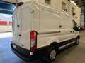 Ford Transit 310 96kW L2H2 Van Trend FWD MHEV Blanco - thumbnail 7