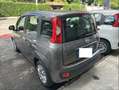 Fiat Panda 1.0 firefly hybrid S&S Grigio - thumbnail 4