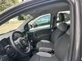 Fiat Panda 1.0 firefly hybrid S&S Grigio - thumbnail 6