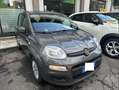 Fiat Panda 1.0 firefly hybrid S&S Grigio - thumbnail 1