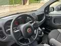 Fiat Panda 1.0 firefly hybrid S&S Grigio - thumbnail 5