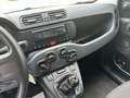 Fiat Panda 1.0 firefly hybrid S&S Grigio - thumbnail 7