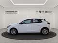 Opel Corsa F 1.2 Turbo Edition LED+SHZ+Fernlichtass. Bianco - thumbnail 3