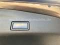 SEAT Alhambra Style Panorama AHK Xenon Kamera Braun - thumbnail 20