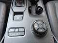 Ford Ranger Doble Cabina 3.0 EcoBoost V6 S&S Raptor Aut Grau - thumbnail 22
