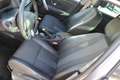 Renault Megane 1.4 TCe Bose MULTIMEDIA TREKHAAK CLIMA Gris - thumbnail 14