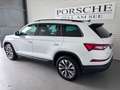 Skoda Kodiaq Ambition SC TDI DSG Weiß - thumbnail 4