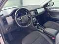 Skoda Kodiaq Ambition SC TDI DSG Weiß - thumbnail 8
