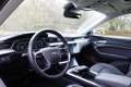Audi e-tron e-tron 50 quattro Launch edition plus 71 kWh | Pan Grau - thumbnail 15