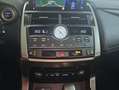 Lexus NX 300 300h Executive Navigation 4WD Rot - thumbnail 16