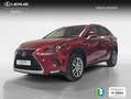 Lexus NX 300 300h Executive Navigation 4WD Rot - thumbnail 1