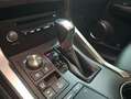 Lexus NX 300 300h Executive Navigation 4WD Rot - thumbnail 22