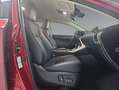 Lexus NX 300 300h Executive Navigation 4WD Rot - thumbnail 5