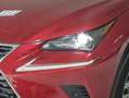 Lexus NX 300 300h Executive Navigation 4WD Rot - thumbnail 27