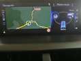 Lexus NX 300 300h Executive Navigation 4WD Rot - thumbnail 15