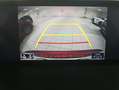 Lexus NX 300 300h Executive Navigation 4WD Rot - thumbnail 14