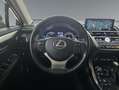 Lexus NX 300 300h Executive Navigation 4WD Rot - thumbnail 11